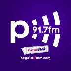 Logo Pegaísima 91.7 FM