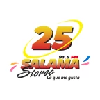 logo Salamá Stereo 91.5 FM