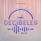 logo Decibel 88.7 FM